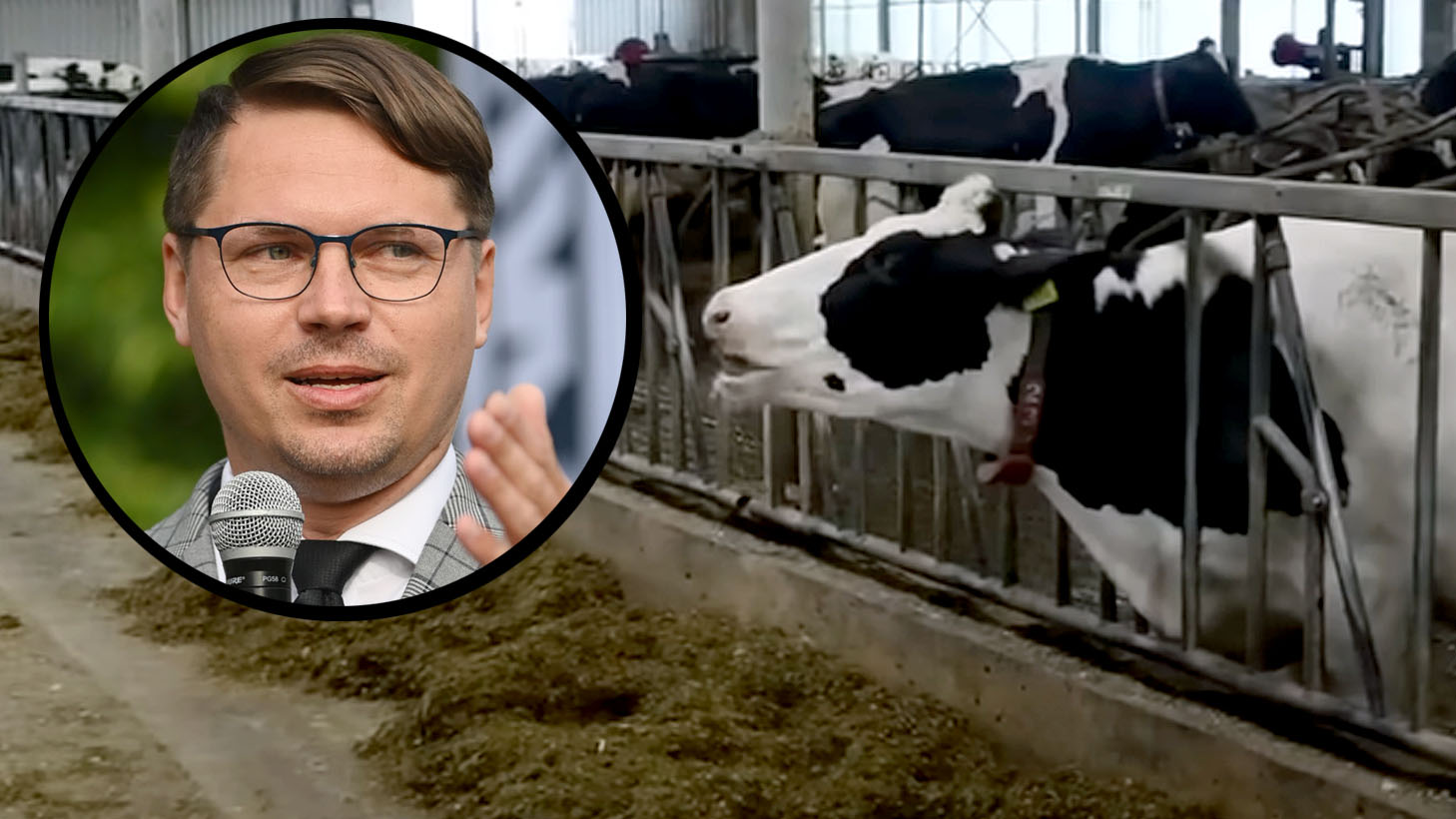 Za wysokie ceny masła odpowiada… stres cieplny krów. „Ktoś tu oszalał”