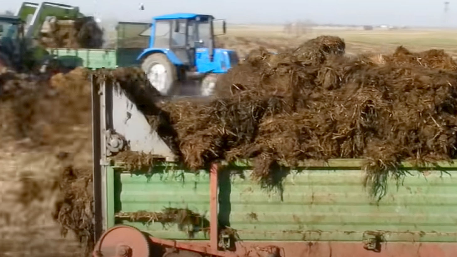 Rolnikowi na gnoju rosną pieniądze. To zabierzmy gnój rolnikowi!