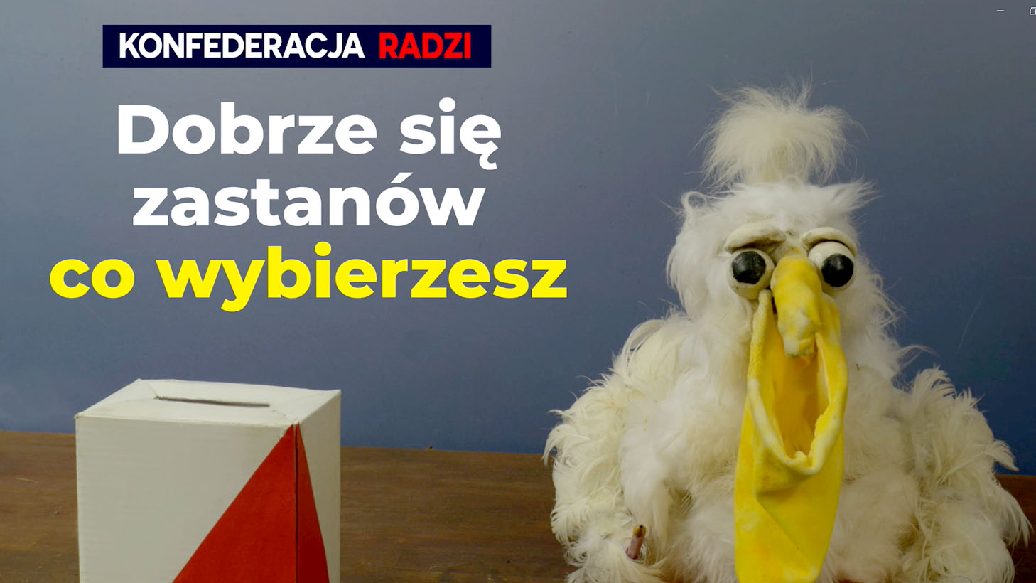 Nie łykaj wszystkiego jak pelikan. Dobrze się zastanów co wybierzesz