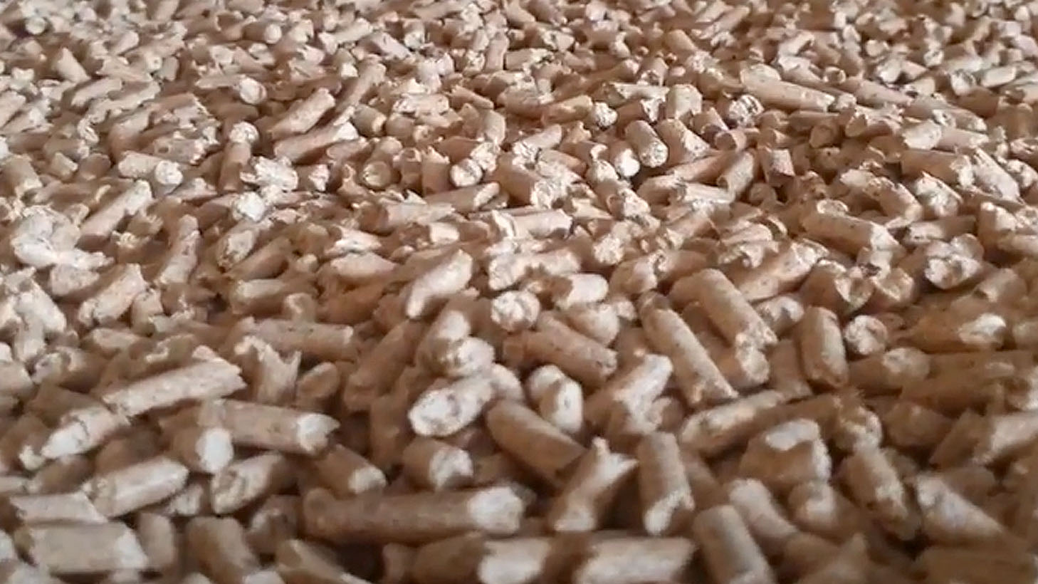 Zakazują węgla i gazu. Przyszła kolej na polski pellet