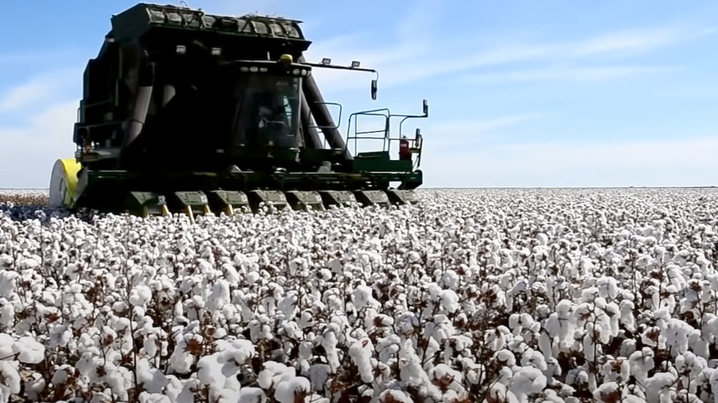 Unia Europejska chce zakazać bawełnianych ubrań!