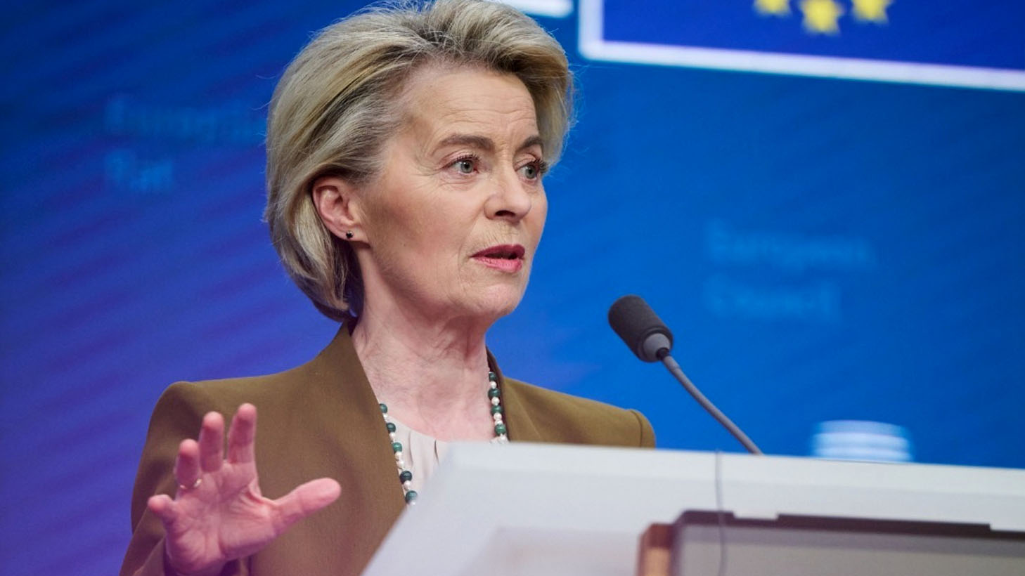 The money from the EU was expected  to go to ecology, but it went to… leftist organizations